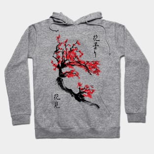 Blossom haze Hoodie